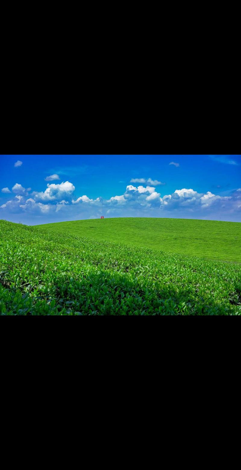 xp美化主题设置技巧？4个方法快速美化系统！