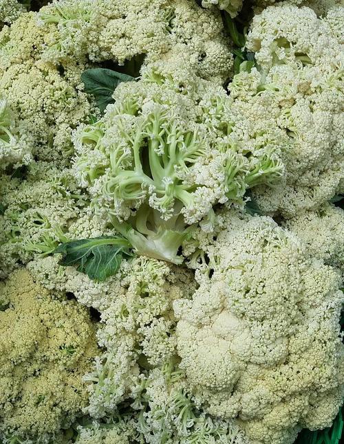 花椰菜蚂蚁庄园是什么(蚂蚁庄园最火玩法全面介绍)