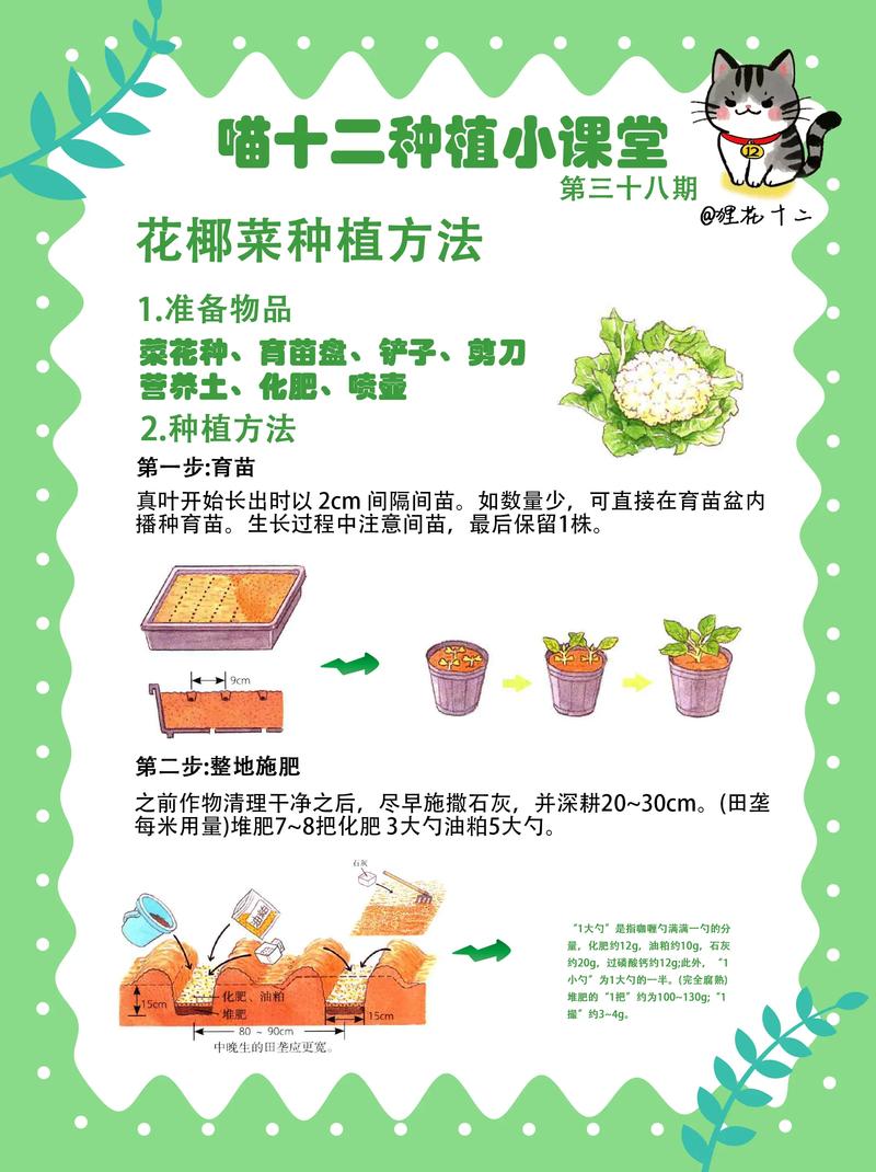 花椰菜蚂蚁庄园是什么(蚂蚁庄园最火玩法全面介绍)