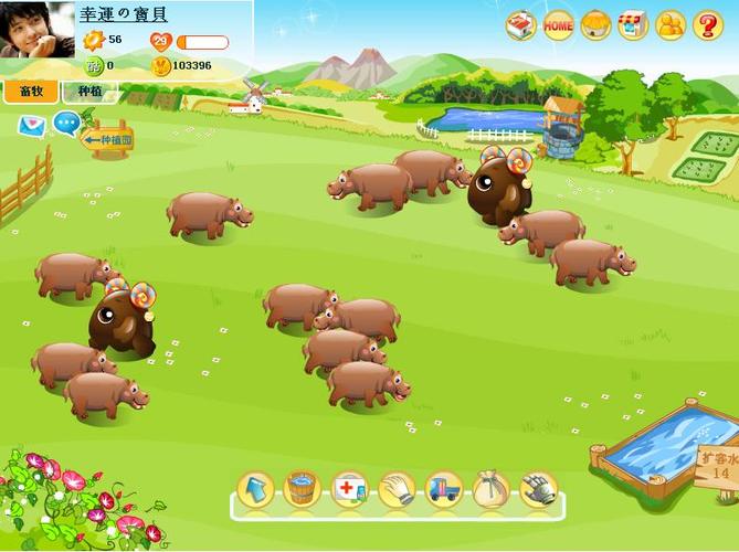 阳光牧场游戏攻略技巧(快速提升经验的秘诀分享)