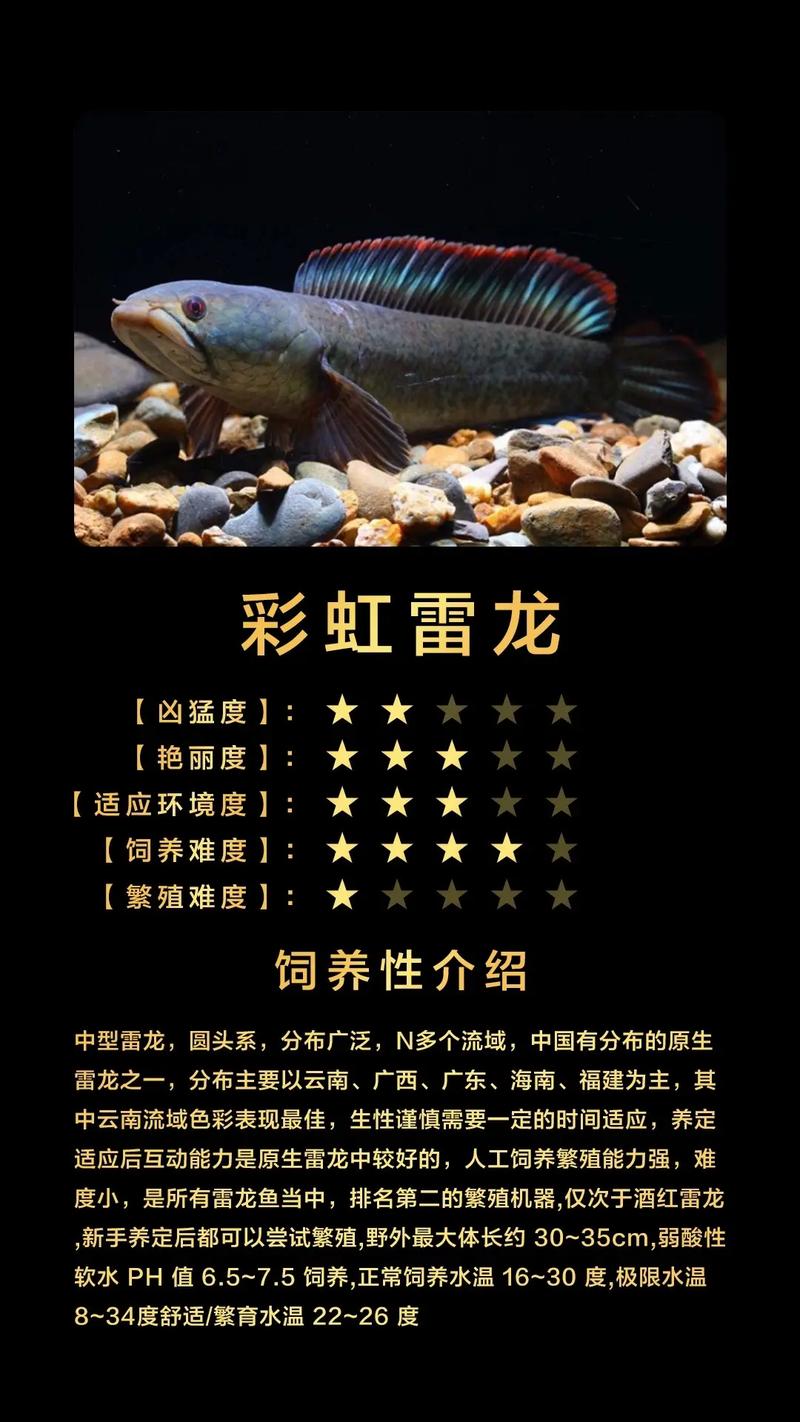 奇瓦瓦峡谷雷龙哪个季节去好(避开人潮最佳期)