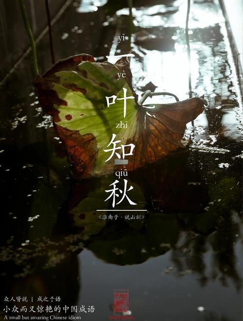 叶知秋逆天改命怎么读？（超简单方法快速入门！）