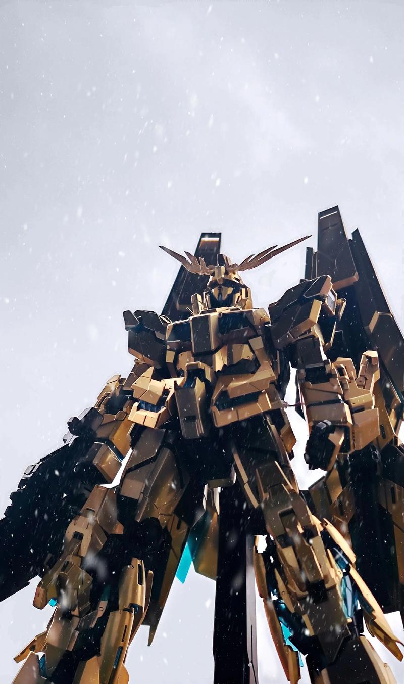 菲尼克斯被逮捕背景介绍!(人物故事深度剖析!)