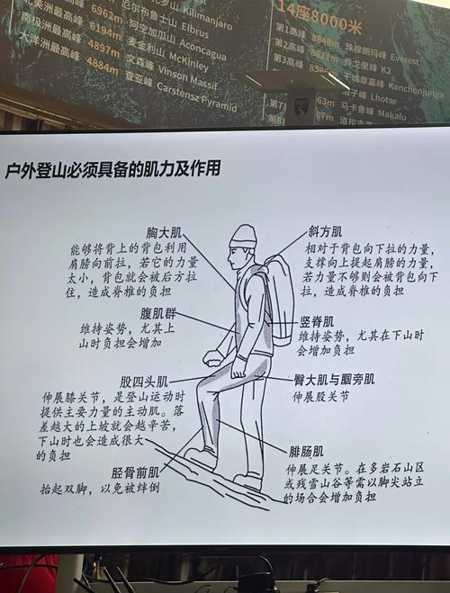 怎么攀登奇险天下第一山?老司机分享5个实用贴士!