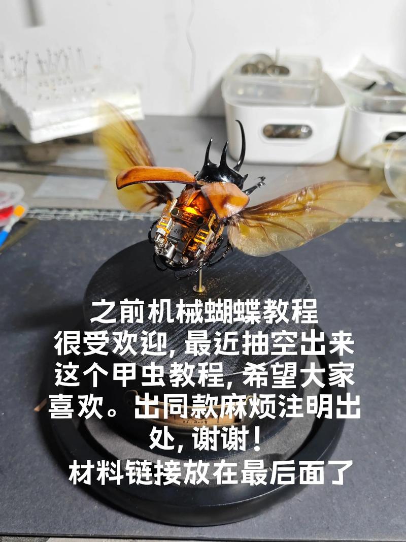 甲虫的召唤怎么做？(跟着这5步轻松掌握入门秘籍！)