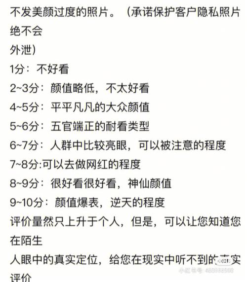 长相评分器怎么用？新手必看5步快速上手