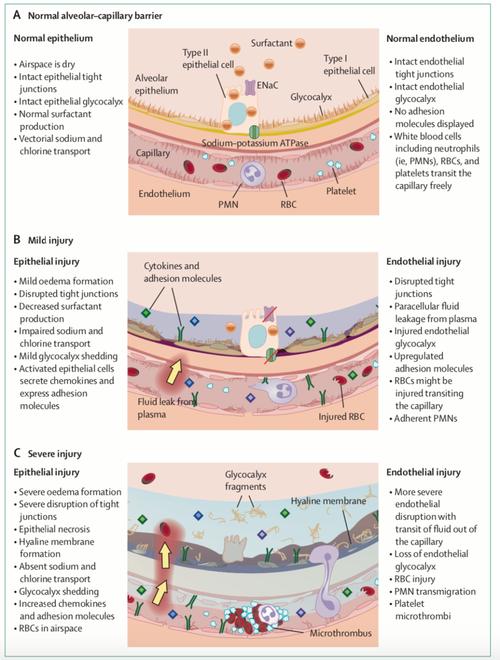 krater常见问题汇总：萌新避坑必看手册