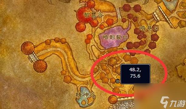 公会战袍代购哪买优惠？五个靠谱平台实测