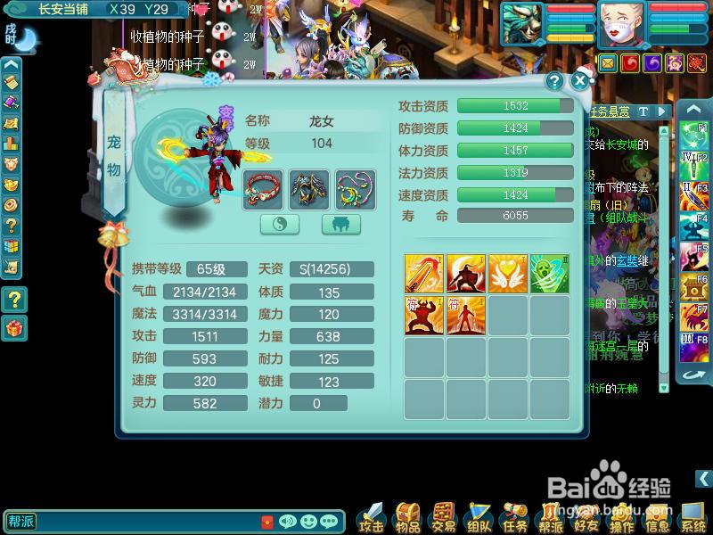 神武龙女战斗力怎么样？实测对比分析报告