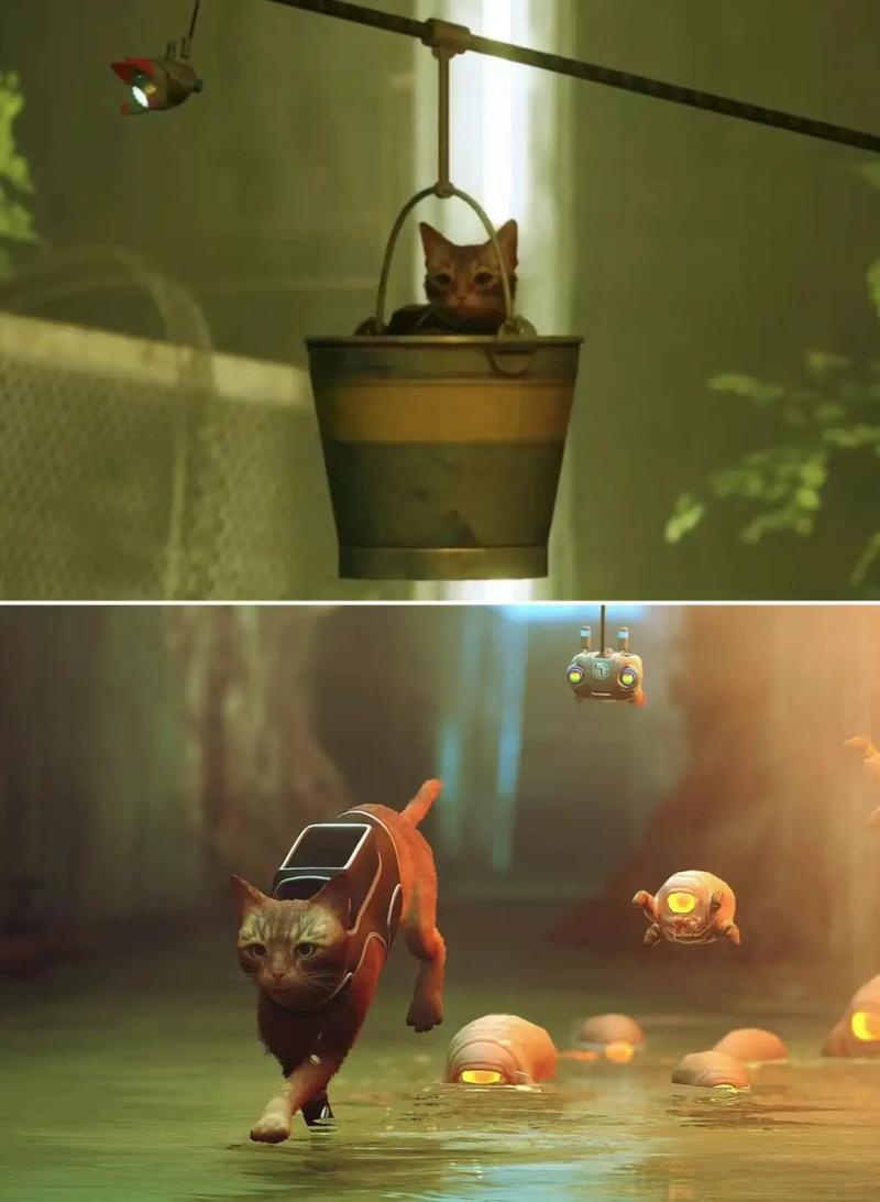 迷失stray买哪个版本好？各平台画面对比和选择攻略