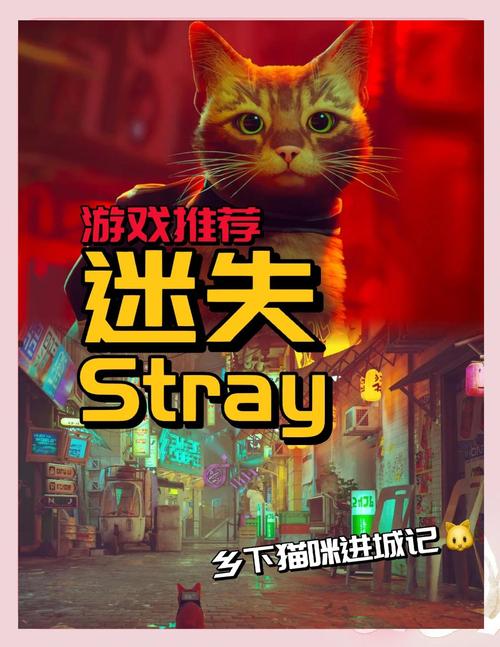 迷失stray买哪个版本好？各平台画面对比和选择攻略