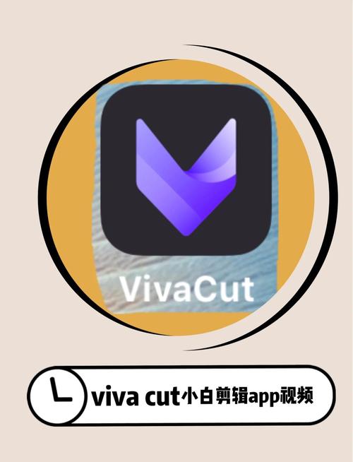 vivaldi怎么下载使用？(新手快速上手的操作指南)