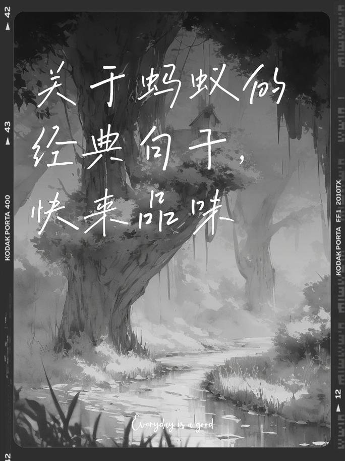 庭前八月蚂蚁启示录是什么？（从中汲取生活智慧方法）