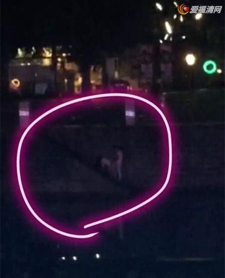 为什么成都九眼桥猛女火了？抖音热推事件始末解析！