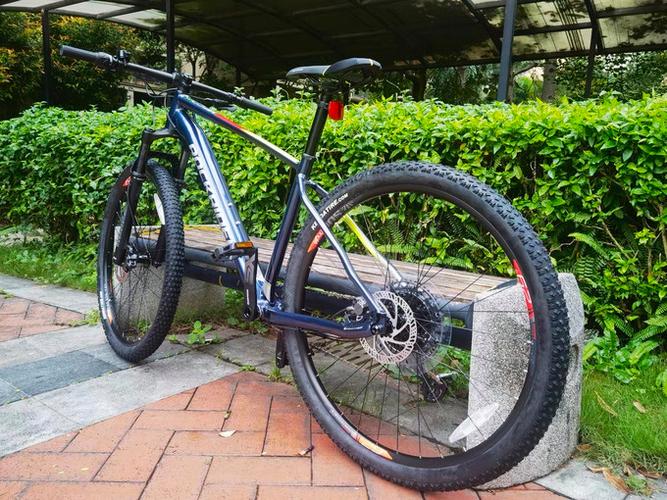 极限自行车越野如何入门？新手必看3个基础技巧！