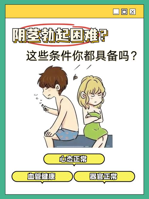 鸡掰什么意思被误解？真正台语粗话含义全说明