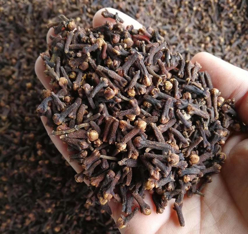 古代的口香糖怎么做？学会这几步自制古法口香糖！