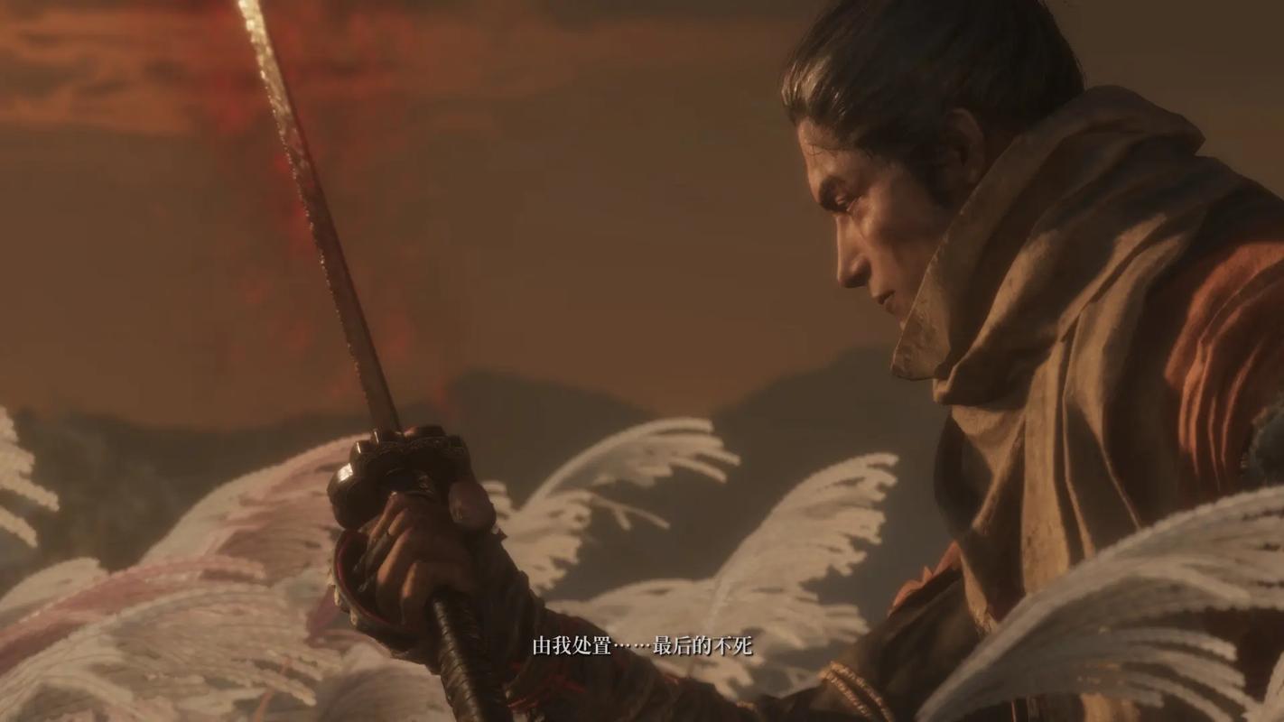 只狼影逝二度剧情解析怎样？(完整故事结局全揭秘！)