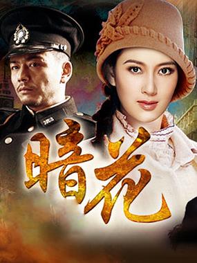 暗花qvod哪里能看？（这3个平台轻松在线播放）