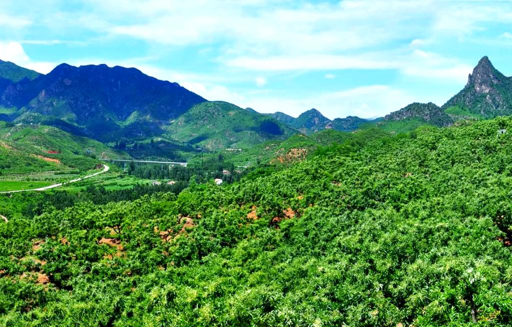 宽城县农业主导产业效益怎么样？揭秘增收秘籍与策略！