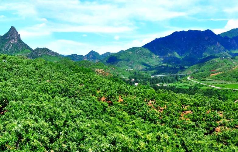 宽城县农业主导产业效益怎么样?揭秘增收秘籍与策略!