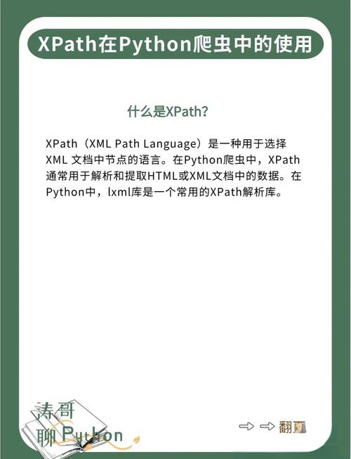 xp变脸王怎么使用？新人也能学会的自拍修图教程