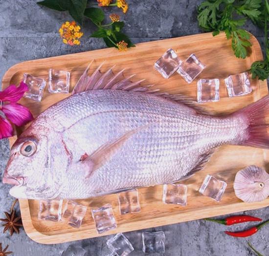 新鲜的夜鳞鲷鱼营养高吗？这种吃法健康又美味