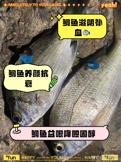 新鲜的夜鳞鲷鱼营养高吗？这种吃法健康又美味