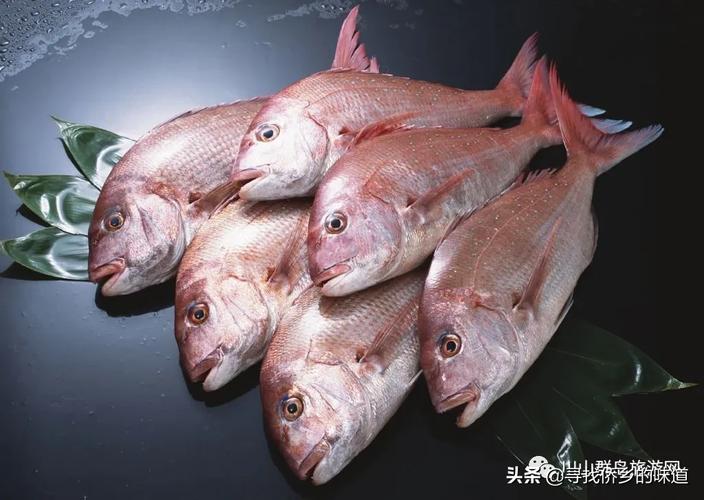 新鲜的夜鳞鲷鱼营养高吗？这种吃法健康又美味