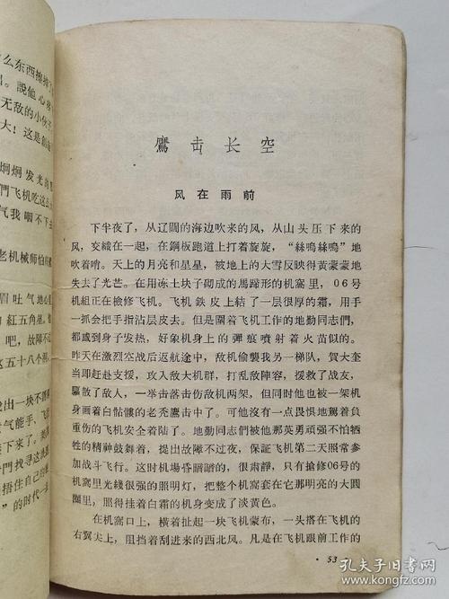 鹰击长空中文版秘籍有啥用？新手快速上手技巧分享！
