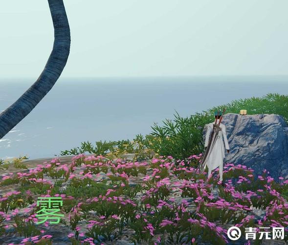 天谕沉船千年泪团队副本(5人组队快速通关策略)