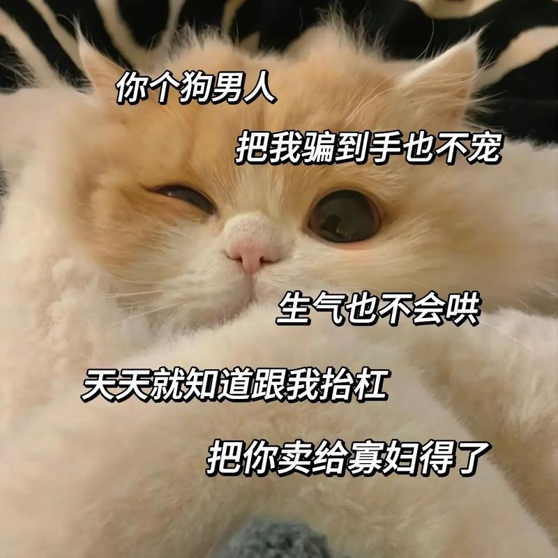 要你寡到底啥意思？一分钟搞懂网络调侃热词