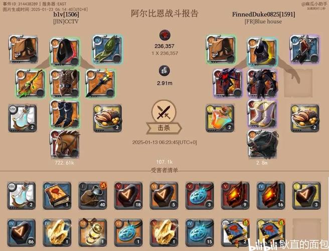 德鲁伊武器搭配攻略？这样组合输出效率飙升！
