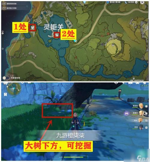 原神无名的宝藏在哪找？4个具体位置速查攻略