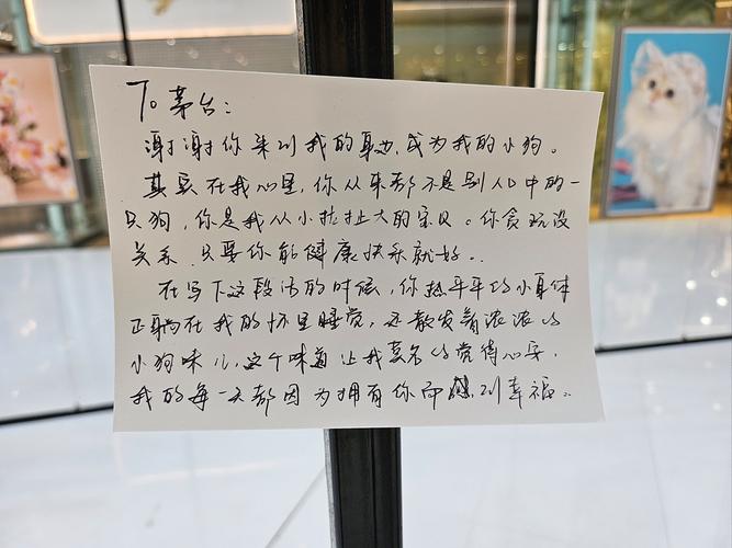 闹市孤萤纸条谁写给谁的这段爱情结局揭秘
