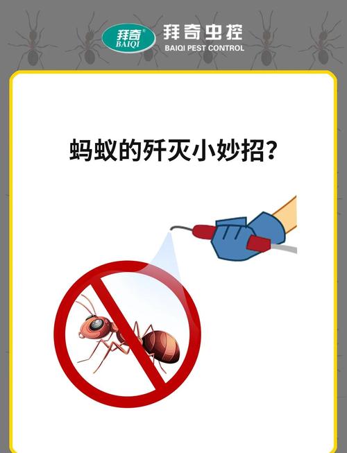 蚂蚁庄园噪声怎么消?4个妙招还能领饲料