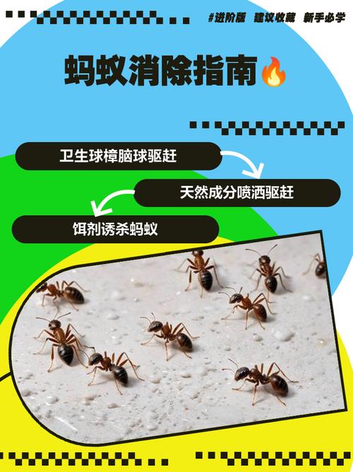 蚂蚁庄园噪声怎么消?4个妙招还能领饲料