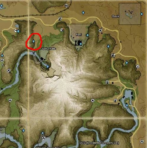 孤岛惊魂2钻石怎么刷？(快速获取钻石的五个实用方法)