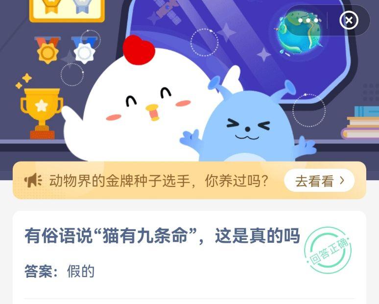 蚂蚁庄园猫有九条命是真是假？科学解释来了！