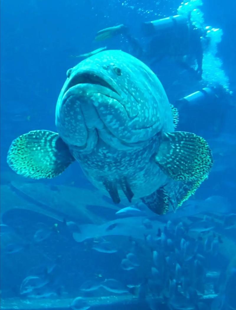 亚特兰蒂斯提醒最大的员工是什么?这里有三个职场黄金规则!