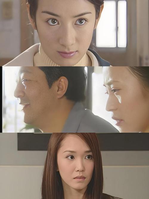 电视剧有情有义讲什么故事（感人亲情剧剧情全介绍）