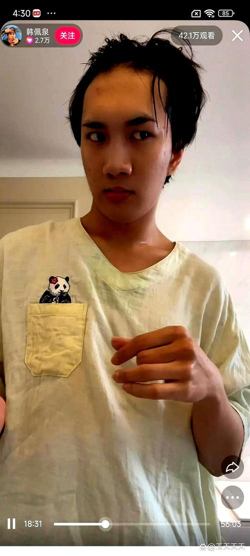 韩佩泉资料查询教程？新手必看操作指南！