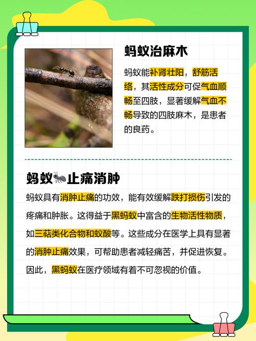 蚂蚁庄园耗油用途大揭秘是否属于食用油