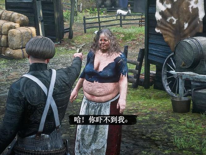 暴躁大妈荒野大镖客k12对比实测:哪个版本更优秀?