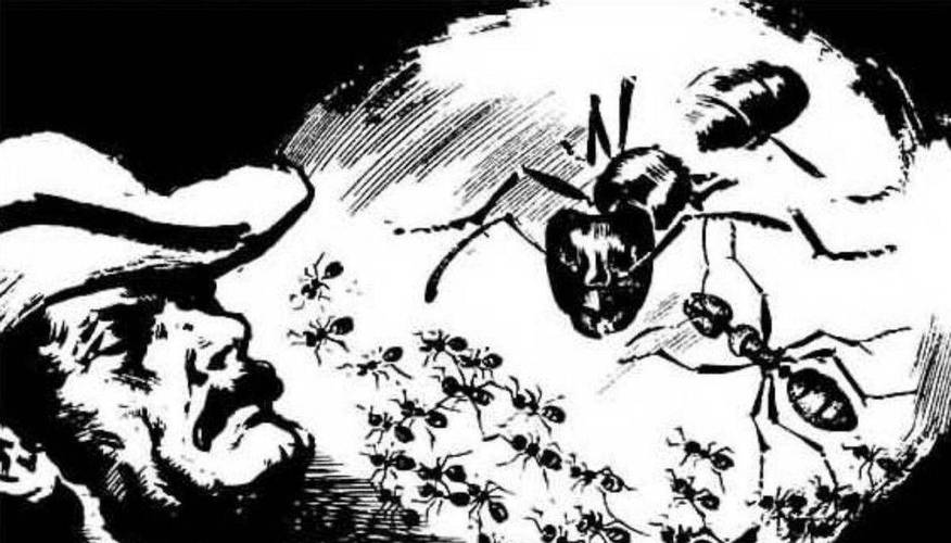 我国古代有秋千节蚂蚁庄园是什么节日？传统习俗涨知识