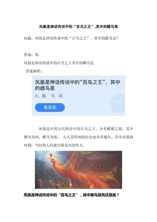 凤凰是百鸟之王其中雌鸟什么样?5个特征一眼辨认