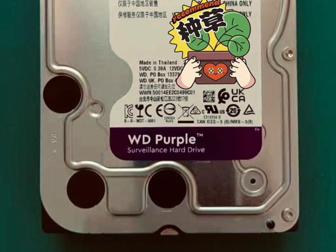 泰国洪水后硬盘怎么挑?行家推荐这三款质量靠谱