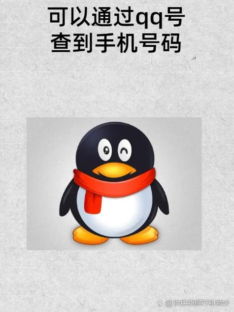 怎么快速查qq谁特别关心你？3招实用操作步骤！