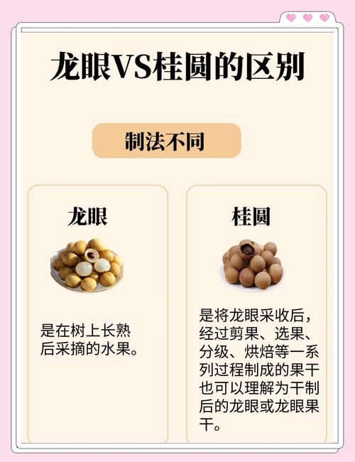 龙眼和桂圆是同一种东西吗蚂蚁？快速揭秘常见误区！