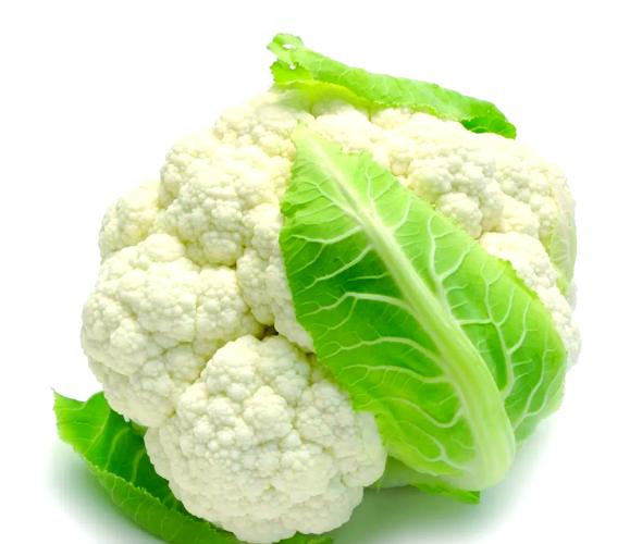 花椰菜蚂蚁庄园告诉你,挑新鲜花椰菜只需这3个小窍门!